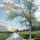 瑶里古镇风景区 - 景德镇市旅游 缩略图 5