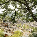 千户苗寨第一户 - 黔东南苗族侗族自治州旅游 缩略图 3