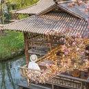 濮院时尚古镇 - 嘉兴市旅游 缩略图 9