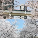 虹口足球场 - 上海市旅游 缩略图 4