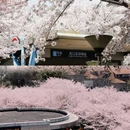 虹口足球场 - 上海市旅游 缩略图 1