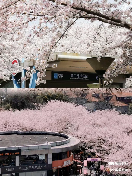 虹口足球场 - 上海市旅游