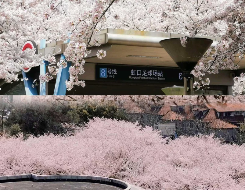 虹口足球场 - 上海市旅游 1