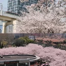 虹口足球场 - 上海市旅游 缩略图 2