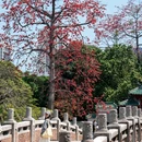 中山公园 - 佛山市旅游 缩略图 9