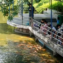 中山公园 - 佛山市旅游 缩略图 7