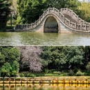 中山公园 - 佛山市旅游 缩略图 6