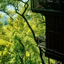 黄桷垭老街 - 重庆市旅游 缩略图 2