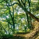 黄桷垭老街 - 重庆市旅游 缩略图 1