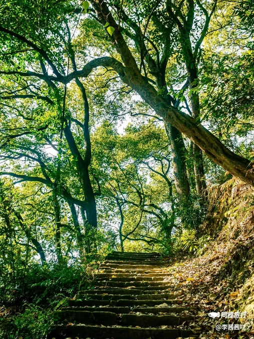 黄桷垭老街 - 重庆市旅游