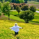 弥勒太平湖国际生态旅游度假区 - 红河哈尼族彝族自治州旅游 缩略图 1