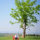 弥勒太平湖国际生态旅游度假区 - 红河哈尼族彝族自治州旅游 缩略图 8