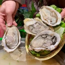 范钵钵重庆水火锅 - 成都市旅游 缩略图 5
