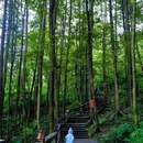 都江堰新华海颐·御垒山居酒店 - 成都市旅游 缩略图 3
