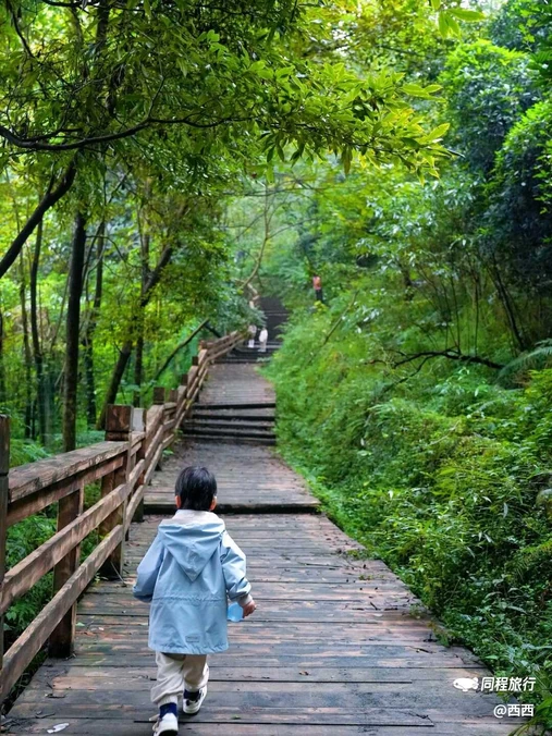 都江堰新华海颐·御垒山居酒店 - 成都市旅游