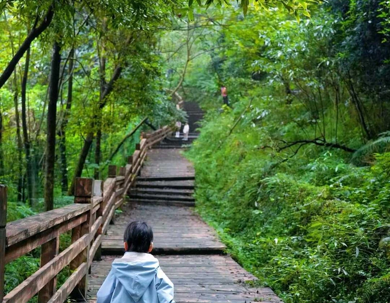 都江堰新华海颐·御垒山居酒店 - 成都市旅游 1
