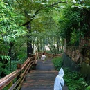 都江堰新华海颐·御垒山居酒店 - 成都市旅游 缩略图 6
