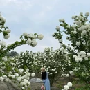 四川义合汇锦园林景观工程有限公司 - 成都旅游 缩略图 6