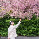 盐城人民公园 - 盐城市旅游 缩略图 6