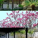 盐官潮乐之城国际旅游度假区 - 嘉兴市旅游 缩略图 2