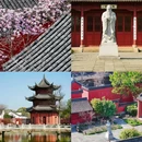 盐官潮乐之城国际旅游度假区 - 嘉兴市旅游 缩略图 4