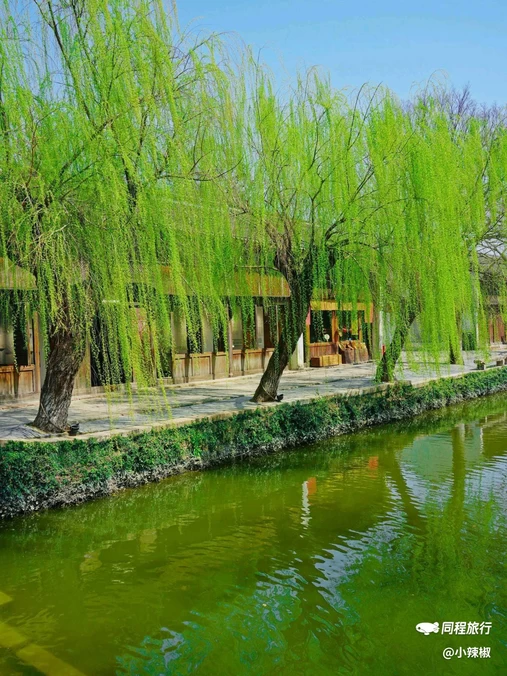 盐官潮乐之城国际旅游度假区 - 嘉兴市旅游
