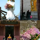 盐官潮乐之城国际旅游度假区 - 嘉兴市旅游 缩略图 6
