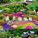 云萝植物园 - 广州市旅游 缩略图 3