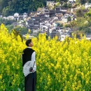 婺源篁岭溯溪 - 上饶市旅游 缩略图 1