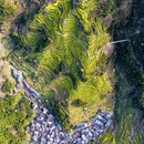 婺源篁岭溯溪 - 上饶市旅游 缩略图 7