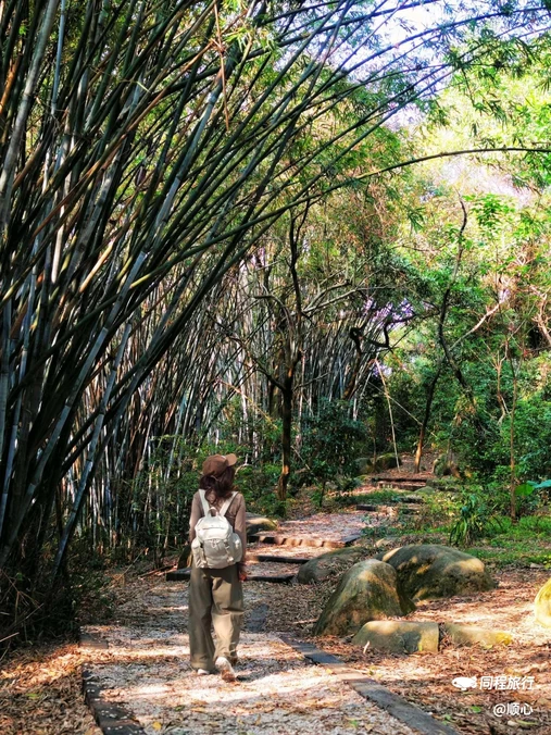 长岭国家登山健身步道 - 广州市旅游