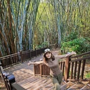 长岭国家登山健身步道 - 广州市旅游 缩略图 6