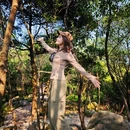 长岭国家登山健身步道 - 广州市旅游 缩略图 7