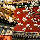 天坛公园 - 北京市旅游 缩略图 1