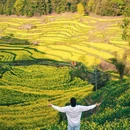 灵山村 - 黄山市旅游 缩略图 4