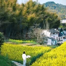 灵山村 - 黄山市旅游 缩略图 1
