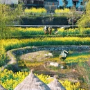 灵山村 - 黄山市旅游 缩略图 9