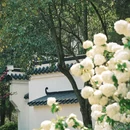 逍遥津公园 - 合肥市旅游 缩略图 1