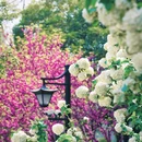 逍遥津公园 - 合肥市旅游 缩略图 7