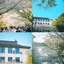 南京林业大学(新庄校区) - 南京市旅游 缩略图 5