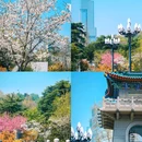 南京林业大学(新庄校区) - 南京市旅游 缩略图 2