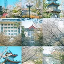 南京林业大学(新庄校区) - 南京市旅游 缩略图 1