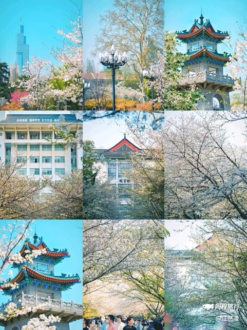 南京林业大学(新庄校区) - 南京市旅游