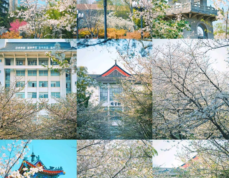 南京林业大学(新庄校区) - 南京市旅游 1