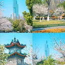 南京林业大学(新庄校区) - 南京市旅游 缩略图 4