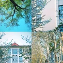 南京林业大学(新庄校区) - 南京市旅游 缩略图 6