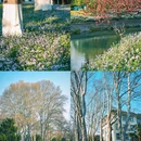 南京林业大学(新庄校区) - 南京市旅游 缩略图 7