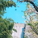 玄武湖景区-解放门 - 南京市旅游 缩略图 2