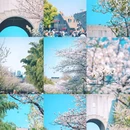 玄武湖景区-解放门 - 南京市旅游 缩略图 1