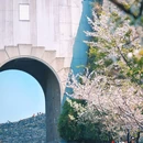 玄武湖景区-解放门 - 南京市旅游 缩略图 6